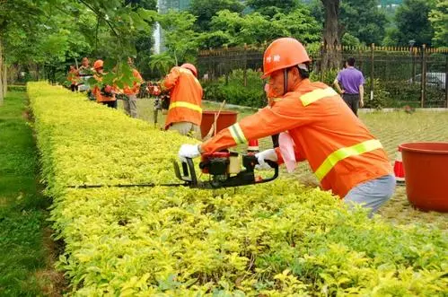 三级养护质量标准